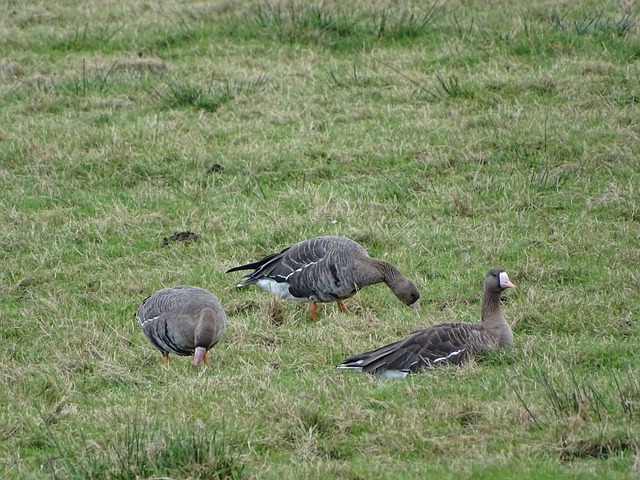 巴萨球员国家队战报：孔德、特狮打满全场